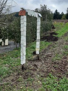 Gästeweinberg