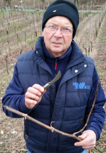 Solch ein "Krummes" (krummes, scharfes Messer) verwendeten früher die Winzer für den Schnitt der Reben. Heute werden diese Arbeiten mit Scheren, die häufig mit Druckluft oder elektrisch angetrieben werden, durchgeführt.