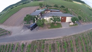 wpid-burggarten-süd-10.06.2015.mov.standbild001-3