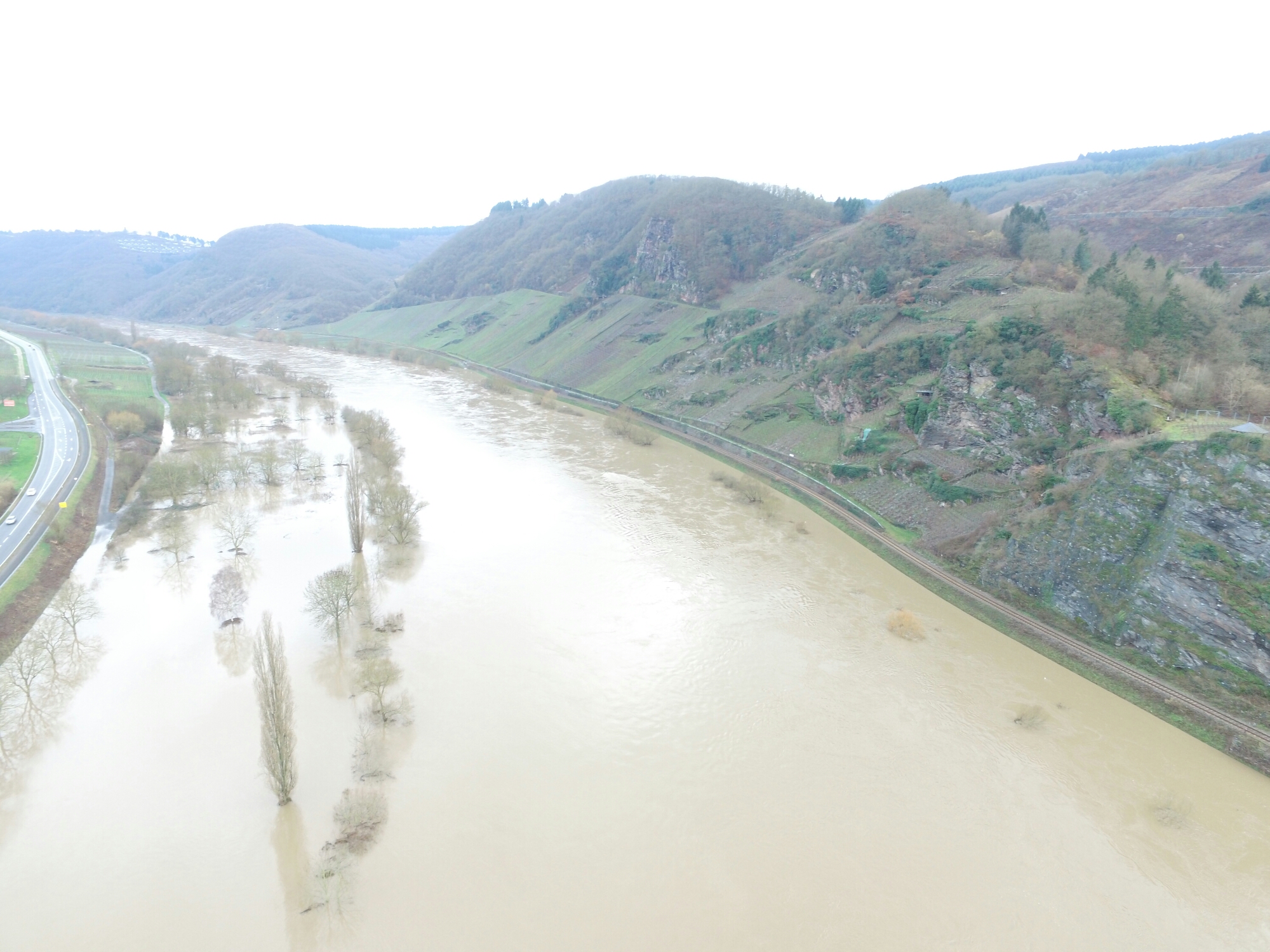 Hochwasser BurgFelsen.JPG image